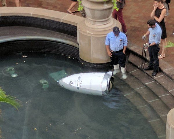 В США робот-охранник покончил с собой в фонтане