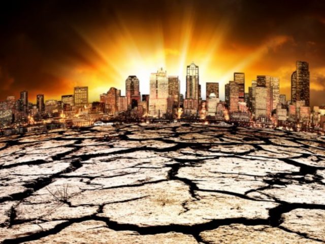 Ученый вычислил, когда произойдет массовое вымирание видов