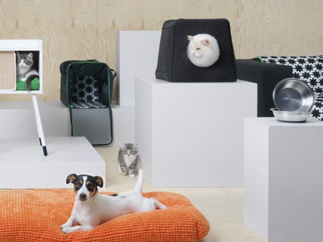 IKEA представила «мохнатую» мебель для домашних животных