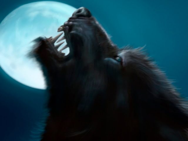 История: детеныша-«оборотня» в Малайзии разоблачила полиция