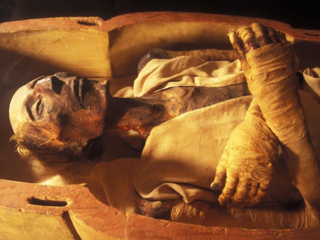 Мумия! Зачем и как на протяжении истории люди мумифицируют людей