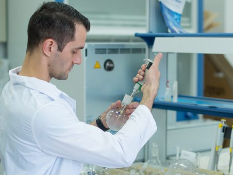 Ученые из Приморья применили в борьбе с раковыми клетками морской огурец