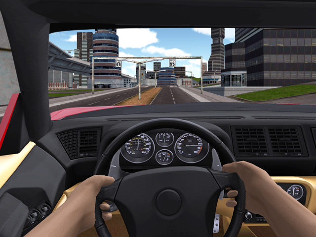 В Сибири открылась бесплатная жестовая автошкола