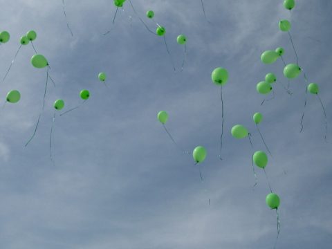 Сперматозоиды снарядили для доставки лекарств
