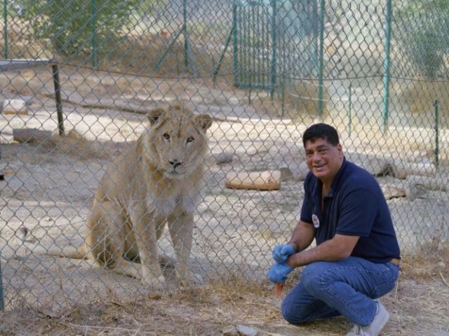 История: доктор Халиль — человек, который спасает зверей из горячих точек