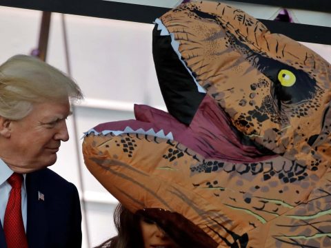 Фоторепортаж. Год Дональда Трампа у власти
