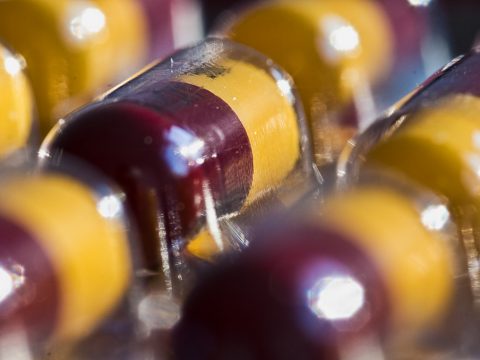 Ученые: грязь вытащит человечество из кризиса антибиотиков