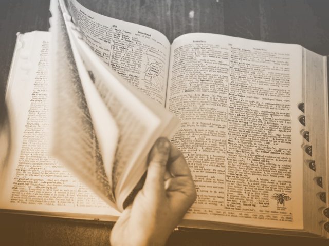 Исследование: людей среднего ума любят больше, чем гениев