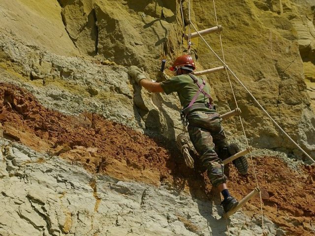 Найденного в Сибири динозавра назвали «сибиротитан»