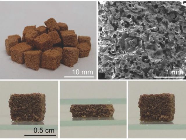 Ученые создали «губку», которая поможет спасти моря от загрязнения нефтью