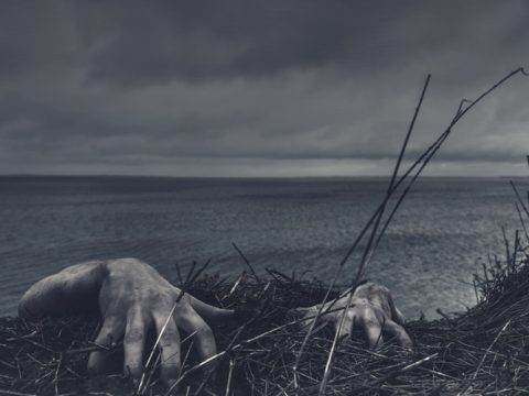Названы лучшие зомби-драмы в истории кино