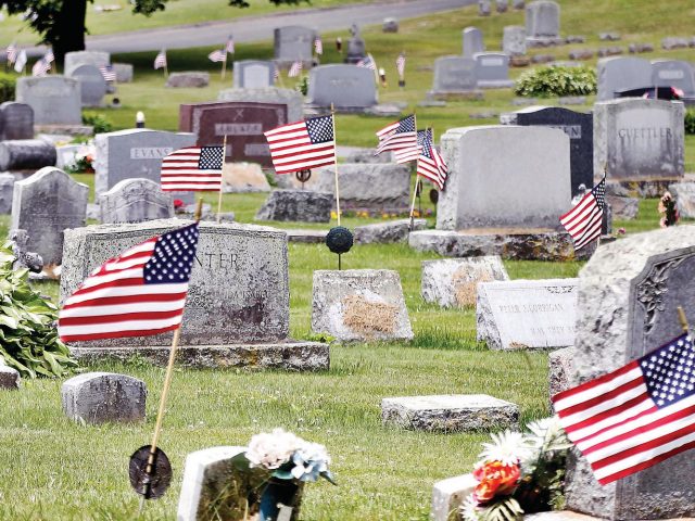 В США сурки воруют флаги с могил ветеранов