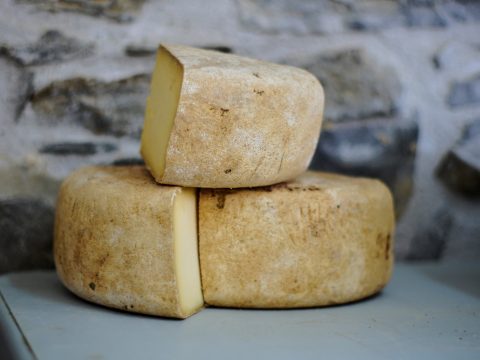 В Костроме прошел первый сырный фестиваль