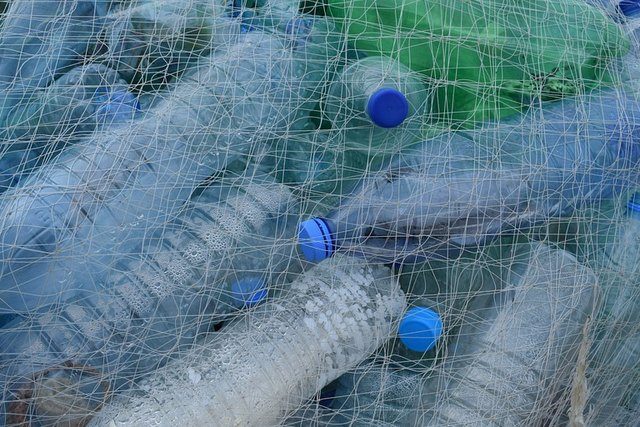 Ленобласть первой в России запретила использовать одноразовый пластик