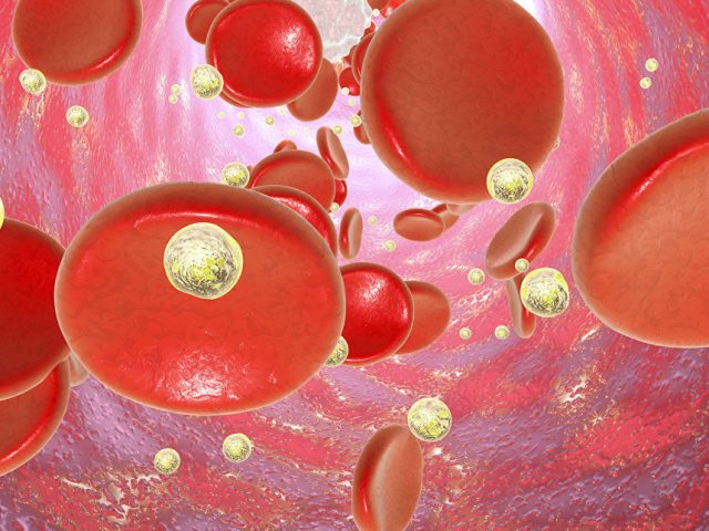 Российские ученые создали «наногранаты» для доставки опасных лекарств