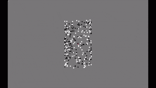 Ученые создали оптическую иллюзию, которая помогает выявить аутизм