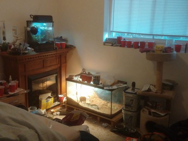 Инстаграм дня: Room Smells — пользователи угадывают запах в комнате по фотографии