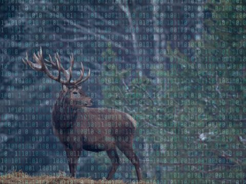 Ученые впервые создали симуляцию жизни на квантовом компьютере