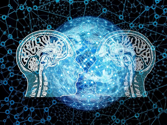 Ученые впервые соединили три головных мозга в сеть обмена информацией