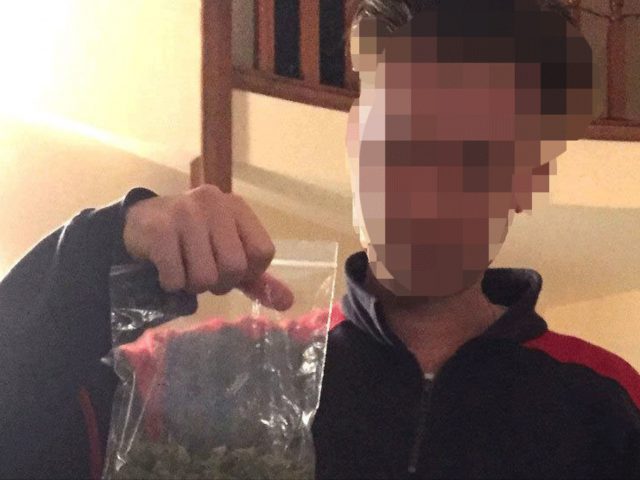 История: в Британии студенты-драгдилеры избежали тюрьмы благодаря «безупречной грамотности»