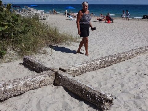 Божественное вмешательство! На пляж во Флориде выбросило шестиметровый крест