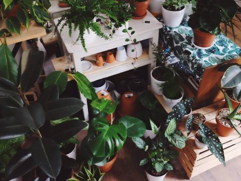 У карты левой мысли, закрытое радио, весенний маркет: куда сходить на выходных в Москве