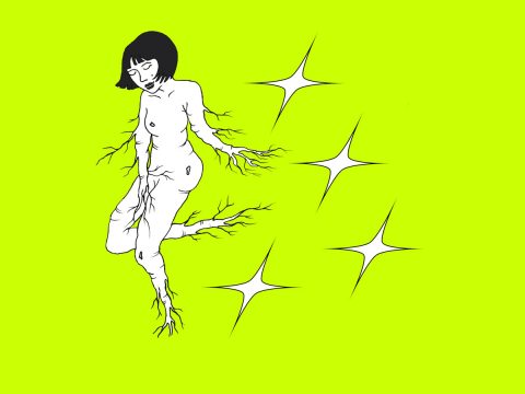 Mustelide — Ginseng Woman. Премьера третьего альбома минского проекта