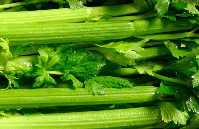 Ученые доказали, что продуктов с «отрицательной калорийностью» не существует