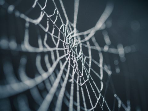 Госдума приняла закон о суверенном Рунете