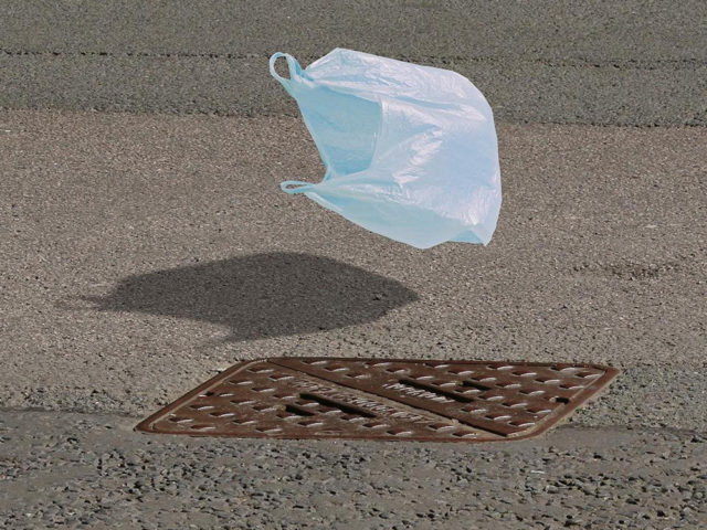 Экоактивизм&nbsp;&mdash; новый колониализм? Как «зеленая» политика становится орудием крупного капитала