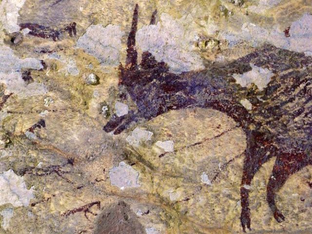 В Индонезии нашли древнейший фигуративный рисунок. Ему 44 тысячи лет
