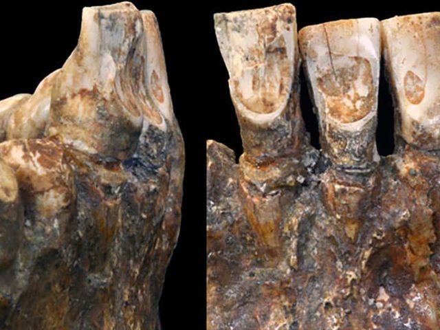 Ученые: пирсингу может быть более 12 тысяч лет