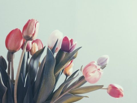 Байкеры с цветами, необычные книги и массовый забег: как Россия отмечает 8 марта
