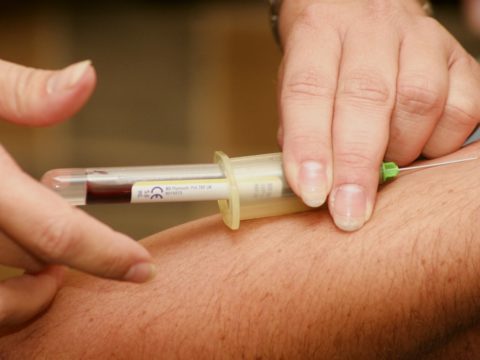 Находка: телеграм-бот, который рассказывает о донорстве костного мозга