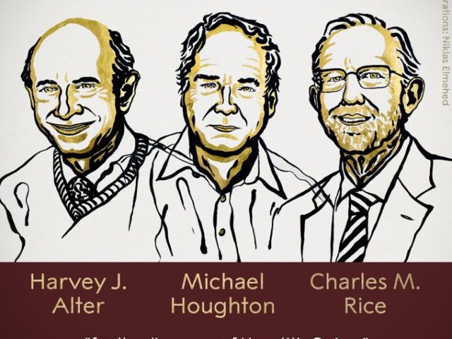 Нобелевскую премию по физиологии и медицине присудили за открытие вируса гепатита С