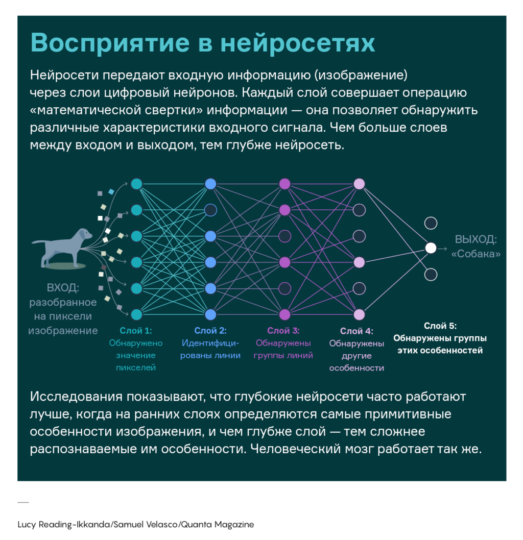 Принцип работы нейронной сети. Архитектура нейронной сети. Принцип работы нейросетей. Нейронная сеть схема.