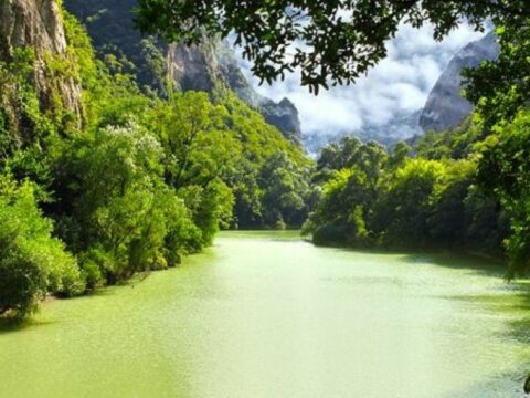 Исследование: природа ежегодно перерабатывает более 41 миллиона тонн отходов жизнедеятельности человечества