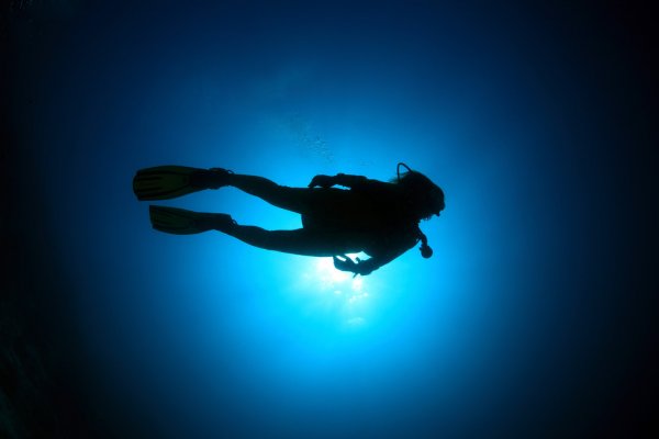 Северокорейский беженец вплавь добрался до Южной Кореи. Его заметили только через три часа