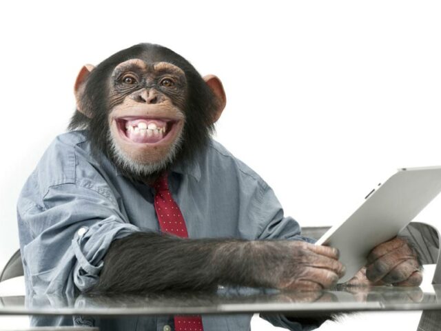 Компания Илона Маска вживила обезьяне в мозг чип и теперь она играет в видеоигры силой мысли