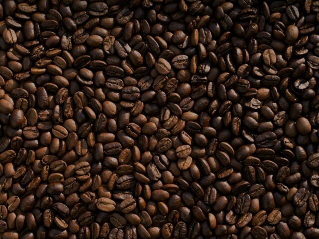 Исследование: отходы производства кофе могут ускорить восстановление тропических лесов