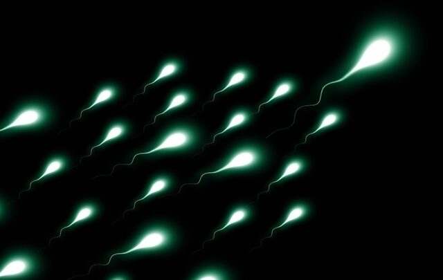 Исследование: из-за загрязнения химикатами уменьшаются размер мужского пениса и количество сперматозоидов