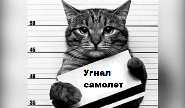 В Судане самолет вернулся в аэропорт из-за агрессивного кота, пробравшегося в кабину пилотов