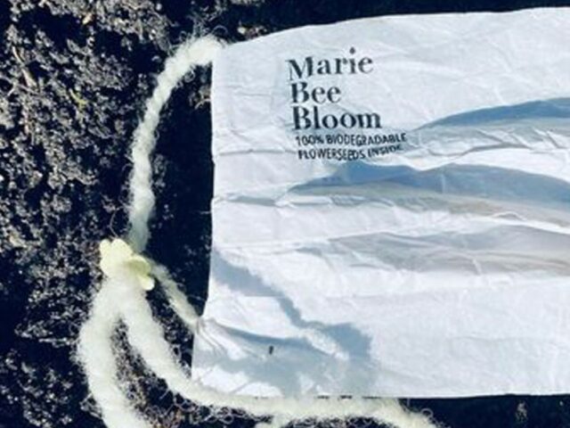 В Нидерландах создали маску, из которой могут прорасти цветы