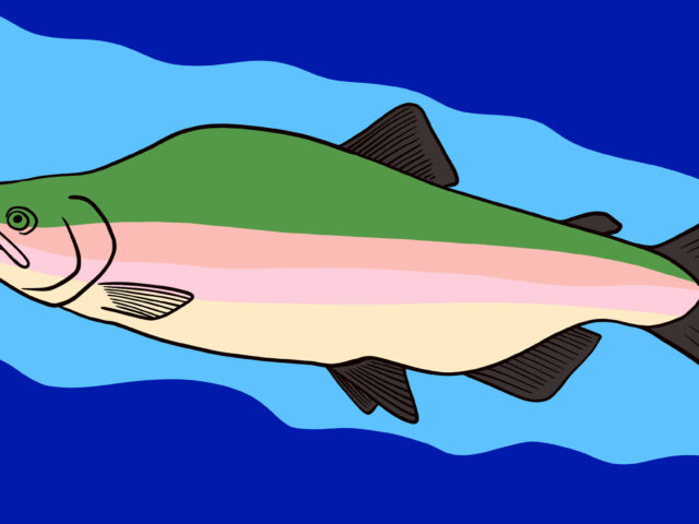 Ученые создали экологически чистый пластик из рыбных отходов