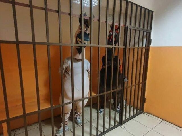 В Сочи арестовали аниматоров в костюмах зебры и богатырского коня: они вымогали деньги у прохожих