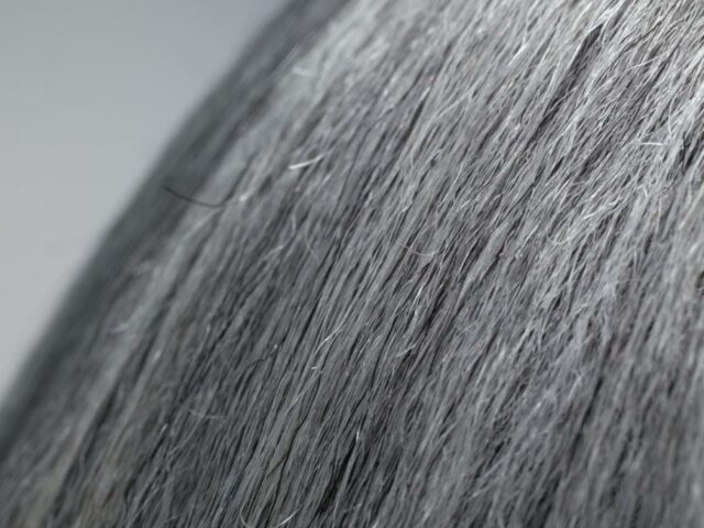 Исследование: от стресса действительно можно поседеть, но процесс обратим