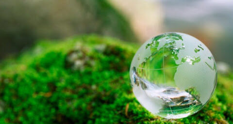 В России запустили онлайн-маркет экологичных товаров и услуг