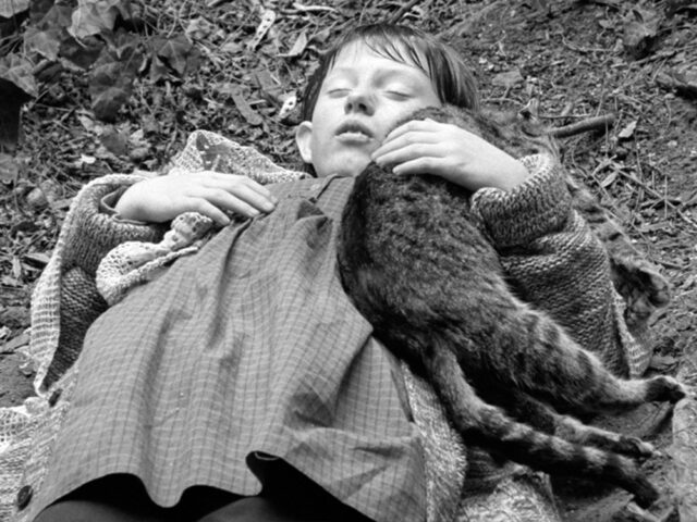 Банька с пауками, труп бога и сатанинское танго: путеводитель по киномирам Белы Тарра