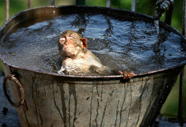 Июль 2021 года стал самым жарким месяцем за всю историю наблюдений