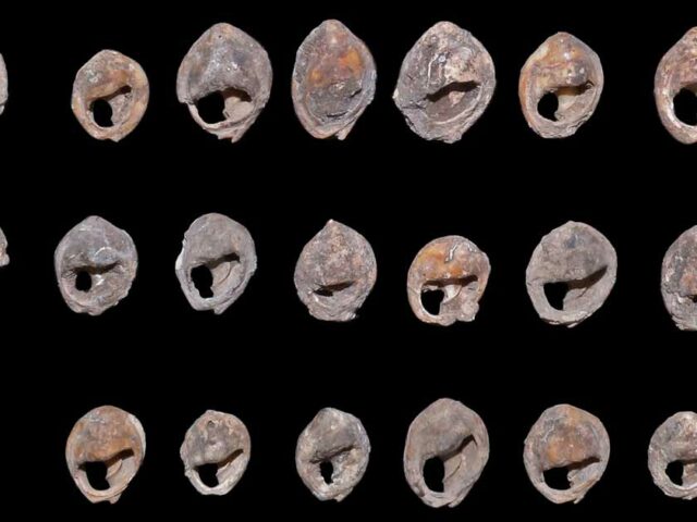 В Марокко нашли самое древнее в мире украшение — ему более 140 000 лет